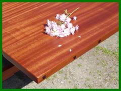 Detail bread-board end against leaf, square Ebony pegs along edge.